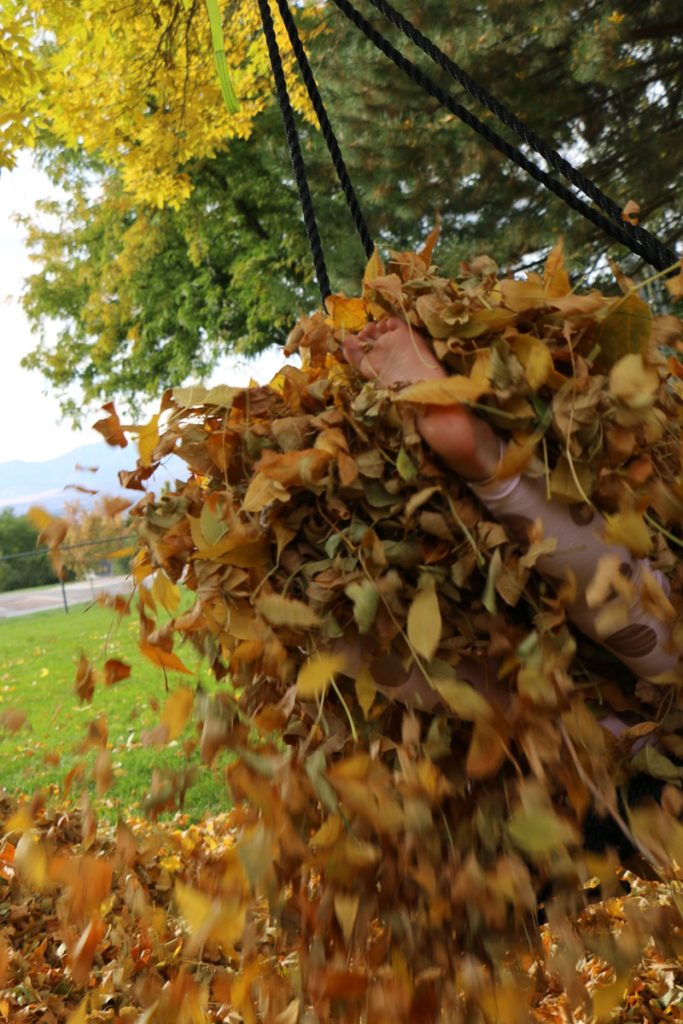 fall-leaves-utah-2016-15